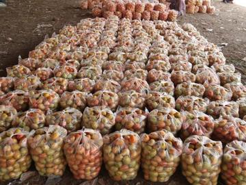 ООН предупреждава: Има риск от продоволствена криза и нов скок в цените