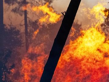 Заплахата от горски пожари се придвижва на изток, заплашвайки Италия и Гърция