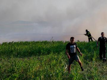 Пожарът край Развигорово е причинен от човешка небрежност