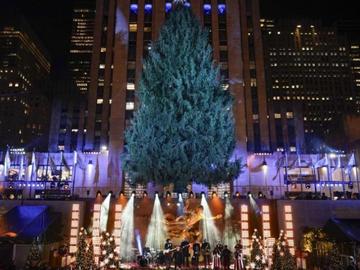 Васил Терзиев: Субсидията за градския транспорт на София е изчезнала в Бюджет 2026