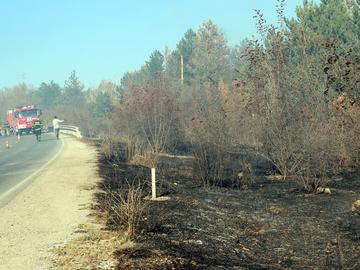 При 56 пожара на територията на СИДП през 2025 г. са засегнати 2186 дка гори