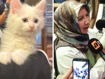 Котката Локум открадна шоуто на срещата на върха на НАТО в Анкара