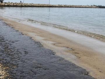 Петно от мазут се появи на варненски плаж