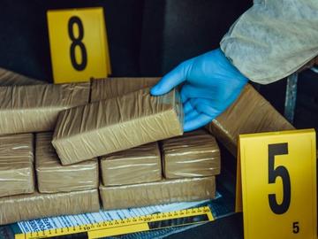 Германските власти иззеха рекордно количество от 35 т. кокаин на стойност милиарди евро