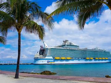 Топ 5 на най-добрите круизи за наблюдение на дивата природа по света