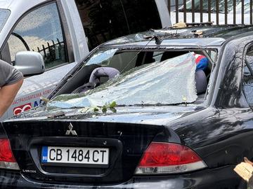 Бурята в София отвори вълна от застрахователни претенции, дават повече време за щети