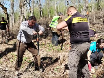 Залесяват 15 декара нова гора край Веселиново