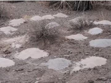 Разследват стотици кремирани човешки останки, открити край Лас Вегас