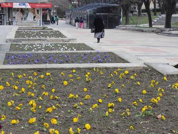 Садят 25 000 цветя в парковете и градините на Шумен тази пролет