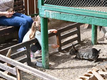 Затягат правилата за достъп до контактната зона на зоопарка в Шумен