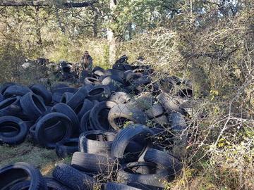 Снимка: СИДП