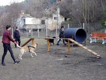 Вдигат двойно такса "куче" в Шумен