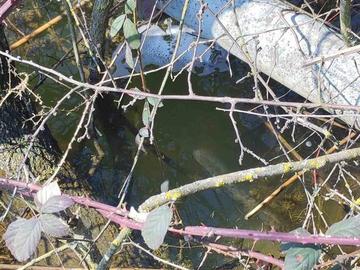 Снимка: Областна администрация-Шумен