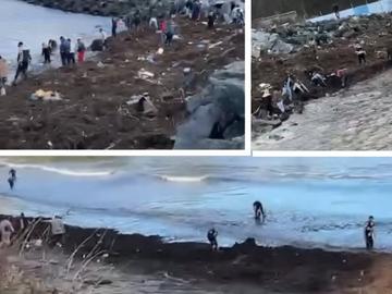 Десетки грабят столевки от морето в Царево, отнесеният сейф се разби край понтона