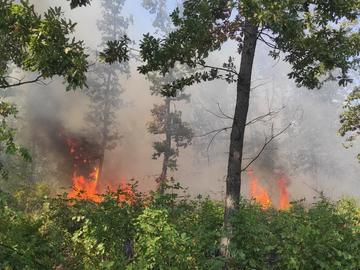 Горски помагат в гасенето на два пожара в Шуменско