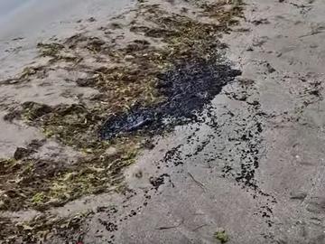 Ново замърсяване на плажната ивица в Поморие с нефтопрокукти