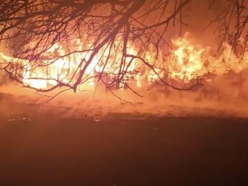 Пожар изпепели историческия комплекс "Фанагория" във Варна, загинаха 7 коня