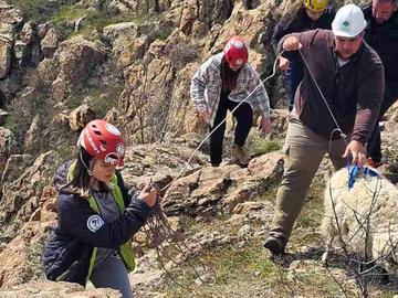Безпрецедентна спасителна акция за овце в 400-метрова пропаст край Кърджали