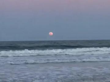 Небесно шоу: Розова луна над Флорида