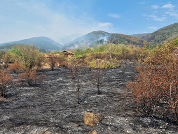 Пожарът край Димовци обхвана 2000 дка гора, огън бушува и под Царев връх в Рила