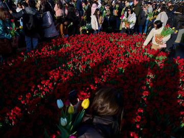 200 хиляди цъфнали лалета дадоха старт на сезона в Нидерландия