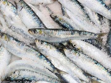 Консумацията на цели малки риби може да удължи продължителността на живота, сочи японско проучване