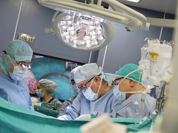 Трима българи са били трансплантирани след донорска ситуация