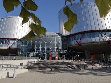 ЕСПЧ осъди България на над €500 000 за събаряне на ромско селище