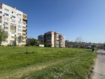 Зелени мерки в градска среда: Нови 1 912 дървета и 49 418 храста в Шумен по проект за 7 млн. лв.