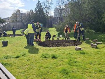 Над 35 000 цветя ще разкрасят Шумен, пред полицията правят фигури от лавандула