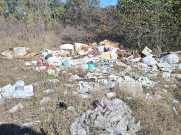 Снимка: СИДП