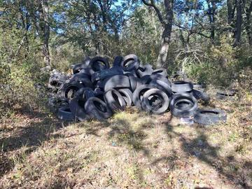 Снимка: СИДП